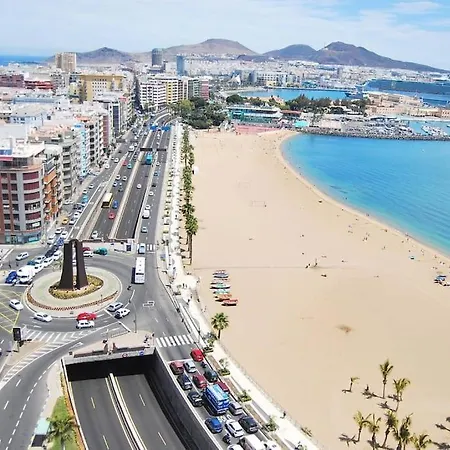 Puccini Oasis - Sogno D'or *